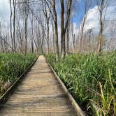 Review photo of Maumee Bay State Park Campground by Andrea F., November 20, 2021