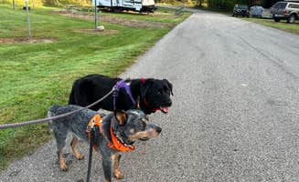 Andrea F.'s photo of camping with pets at Malabar Farm State Park Campground near North Robinson, OH