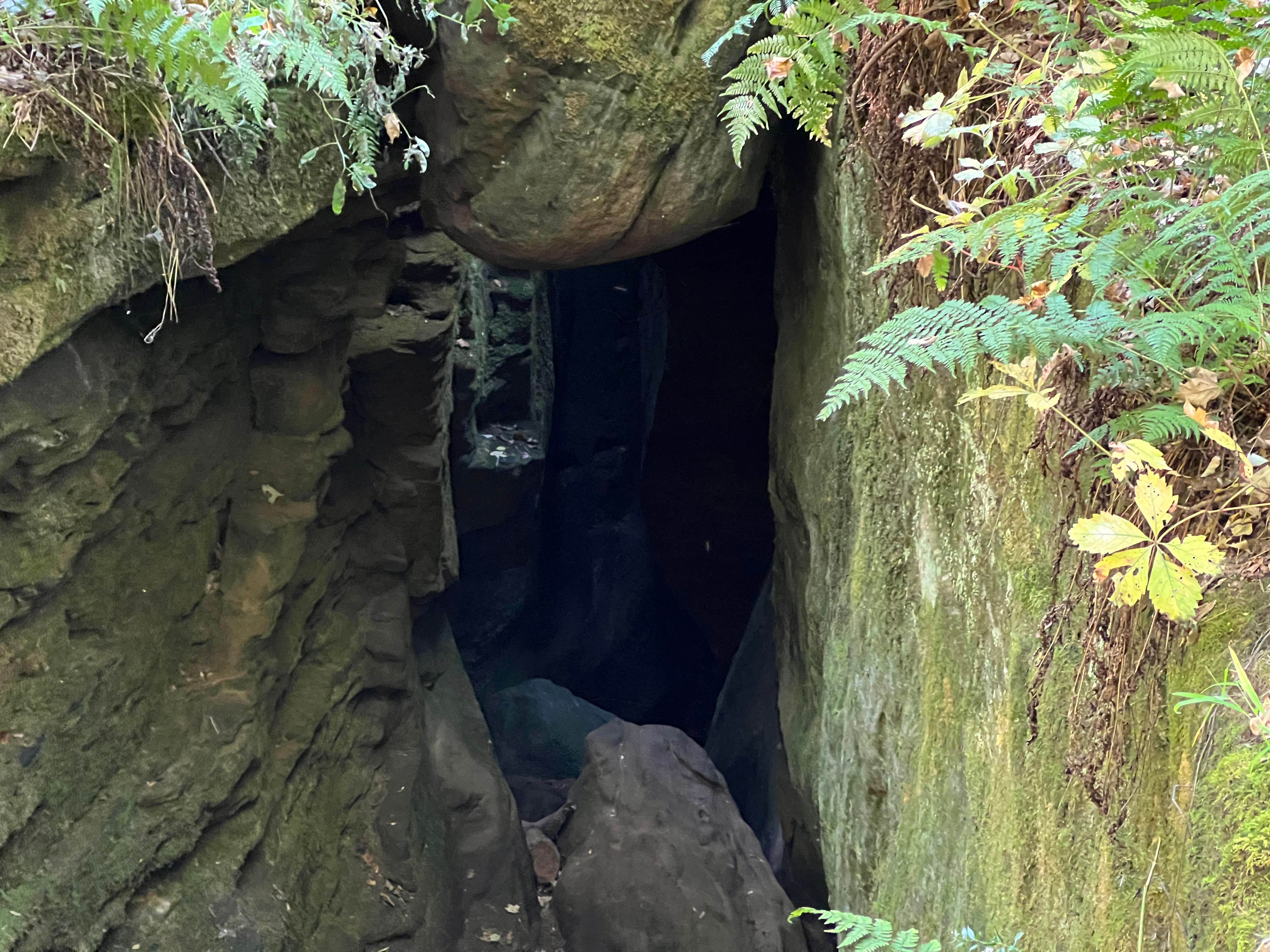 Camper-submitted photo at Malabar Farm State Park Campground near Gambier, OH