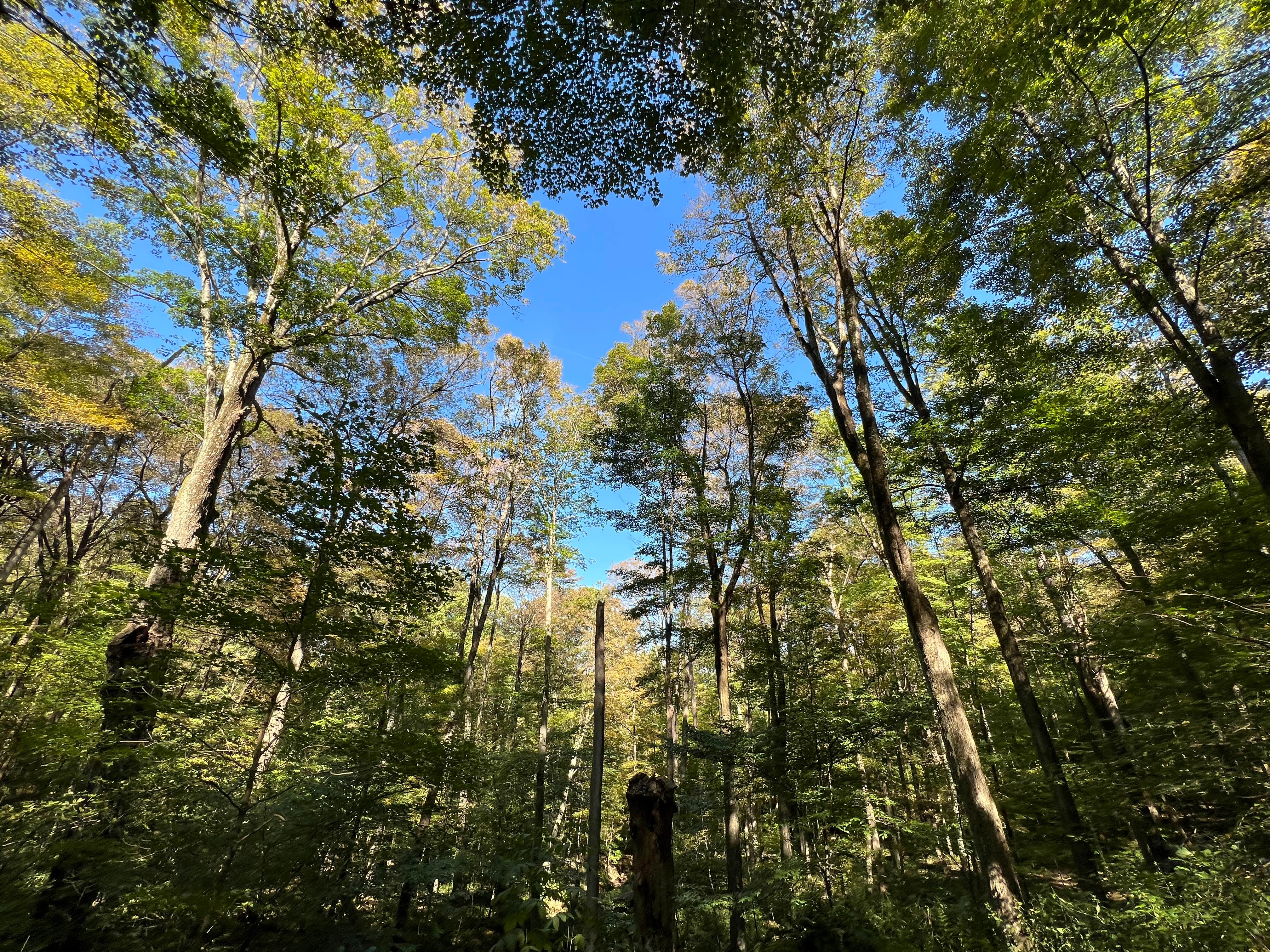 Camper-submitted photo at Malabar Farm State Park Campground near Gambier, OH