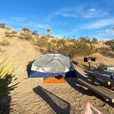 Review photo of Jumbo Rocks Campground — Joshua Tree National Park by Katie B., November 20, 2021