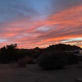 Review photo of Jumbo Rocks Campground — Joshua Tree National Park by Katie B., November 20, 2021