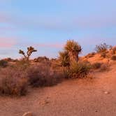 Review photo of Jumbo Rocks Campground — Joshua Tree National Park by Katie B., November 20, 2021