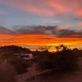 Review photo of Jumbo Rocks Campground — Joshua Tree National Park by Katie B., November 20, 2021