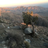 Review photo of Hidden Valley Campground — Joshua Tree National Park by Suzie C., July 7, 2018