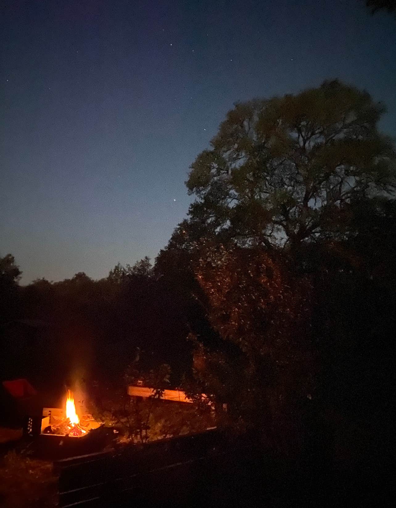 Camper-submitted photo at Lake Somerville State Park Birch Creek Unit Campground near Brenham, TX