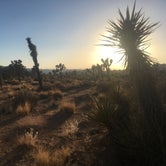 Review photo of Hidden Valley Campground — Joshua Tree National Park by Suzie C., July 7, 2018