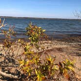 Review photo of Meadowmere Park & Campground by Melanie G., November 20, 2021