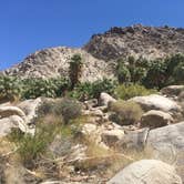 Review photo of Hidden Valley Campground — Joshua Tree National Park by Suzie C., July 7, 2018