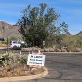 Review photo of Gilbert Ray Campground by Greg L., November 20, 2021