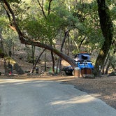 Review photo of Uvas Canyon County Park by Kyle H., November 20, 2021