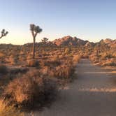 Review photo of Hidden Valley Campground — Joshua Tree National Park by Suzie C., July 7, 2018