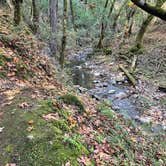 Review photo of Uvas Canyon County Park by Kyle H., November 20, 2021