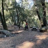 Review photo of Uvas Canyon County Park by Kyle H., November 20, 2021