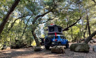 Camping near Coe Ranch Campground — Henry W. Coe State Park: Uvas Canyon County Park, New Almaden, California