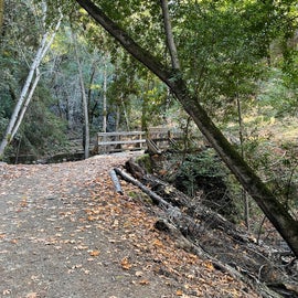 Bridge on Waterfall trail