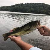 Review photo of Pickwick Landing State Park Campground by nickie F., July 7, 2018