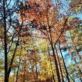 Review photo of Watson Mill Bridge State Park Campground by Fran H., November 20, 2021