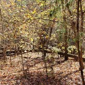 Review photo of Watson Mill Bridge State Park Campground by Fran H., November 20, 2021