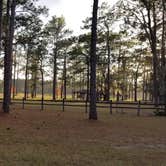 Review photo of Laura S Walker State Park Campground by Mimi , November 20, 2021