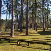 Review photo of Laura S Walker State Park Campground by Mimi , November 20, 2021