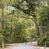 Review photo of Starved Rock Campground — Starved Rock State Park by Kristen B., November 20, 2021