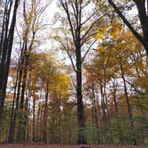 Review photo of Meeman-Shelby Forest State Park by The Wandering B., November 21, 2021