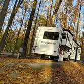 Review photo of Meeman-Shelby Forest State Park by The Wandering B., November 21, 2021