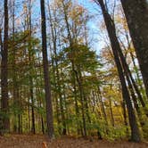 Review photo of Meeman-Shelby Forest State Park by The Wandering B., November 21, 2021