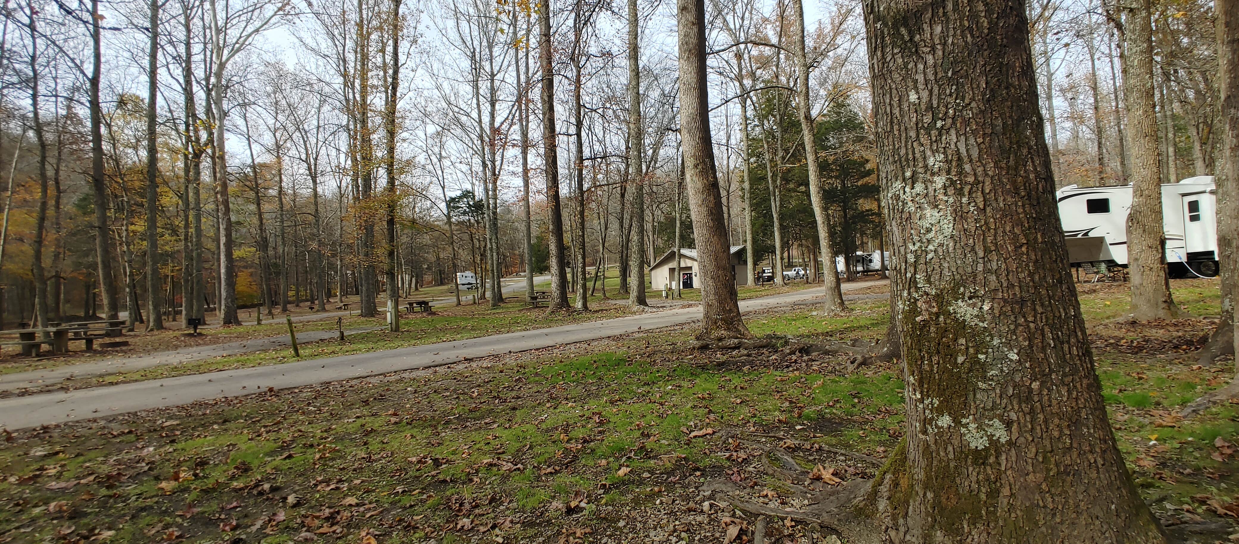 Camper submitted image from Lakefront Campground — Nathan Bedford Forrest State Park - 2