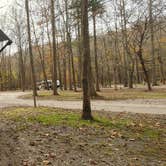 Review photo of Lakefront Campground — Nathan Bedford Forrest State Park by The Wandering B., November 21, 2021