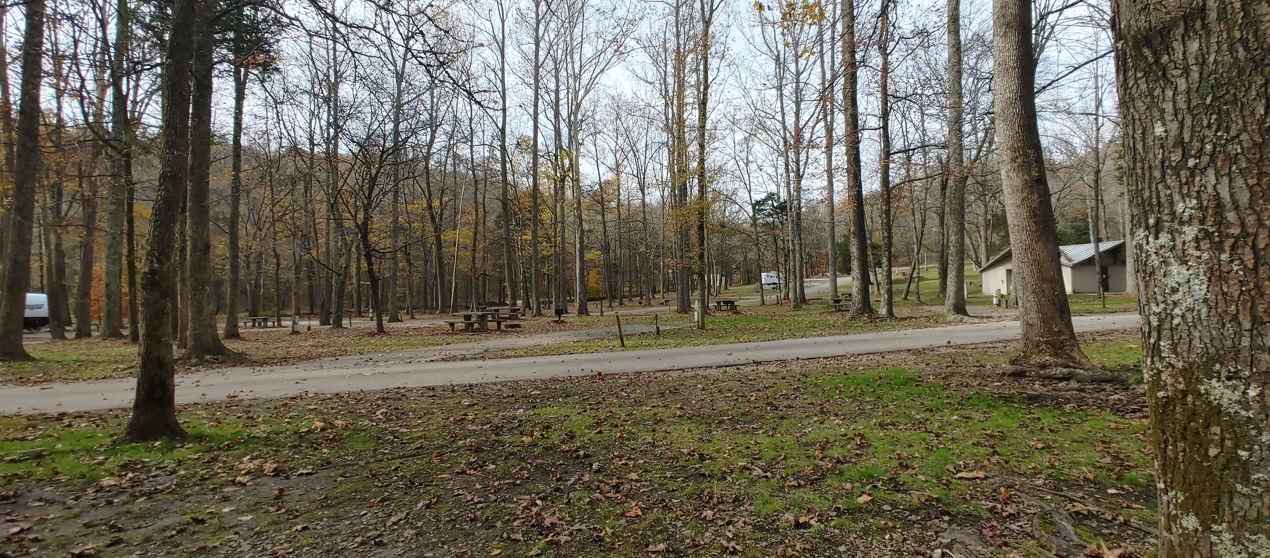 Camper submitted image from Lakefront Campground — Nathan Bedford Forrest State Park - 3
