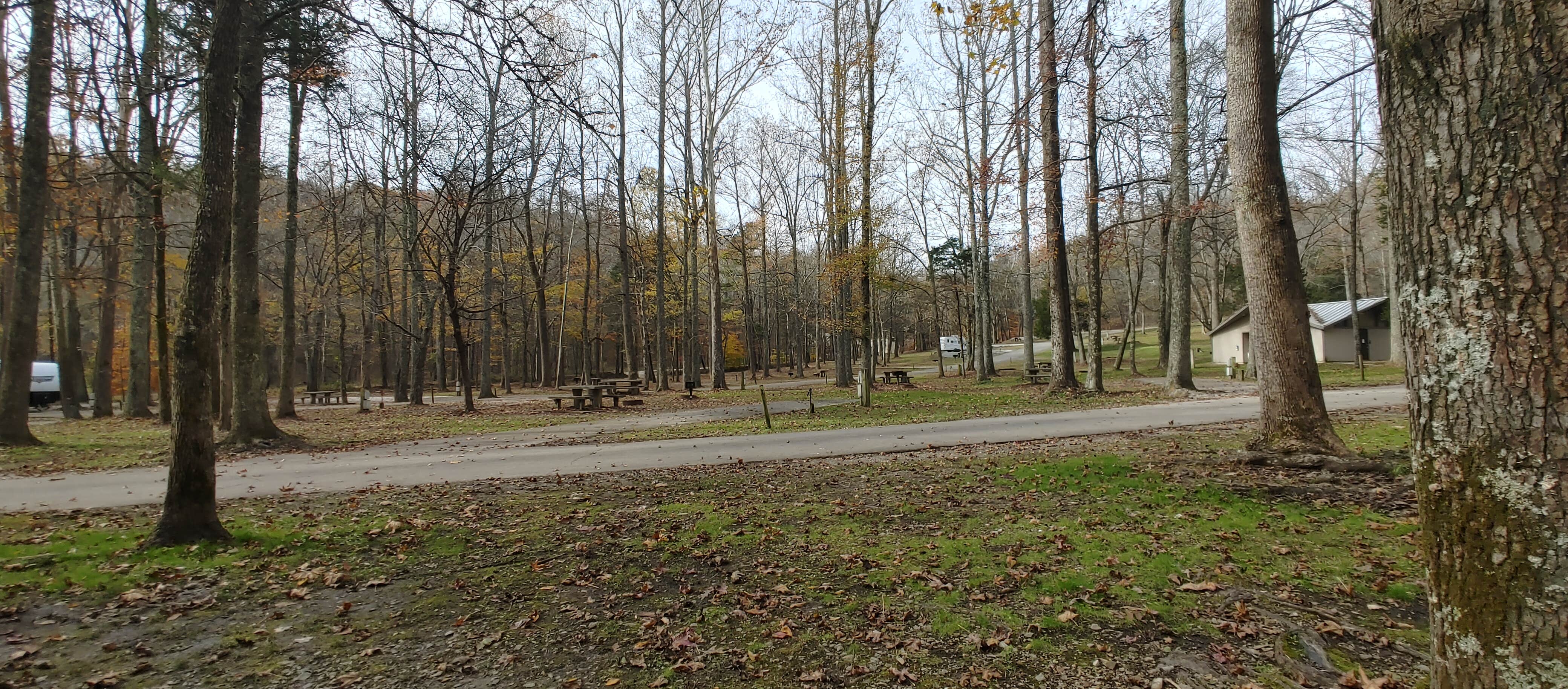 Camper submitted image from Lakefront Campground — Nathan Bedford Forrest State Park - 4