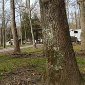 Review photo of Lakefront Campground — Nathan Bedford Forrest State Park by The Wandering B., November 21, 2021