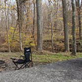 Review photo of Lakefront Campground — Nathan Bedford Forrest State Park by The Wandering B., November 21, 2021