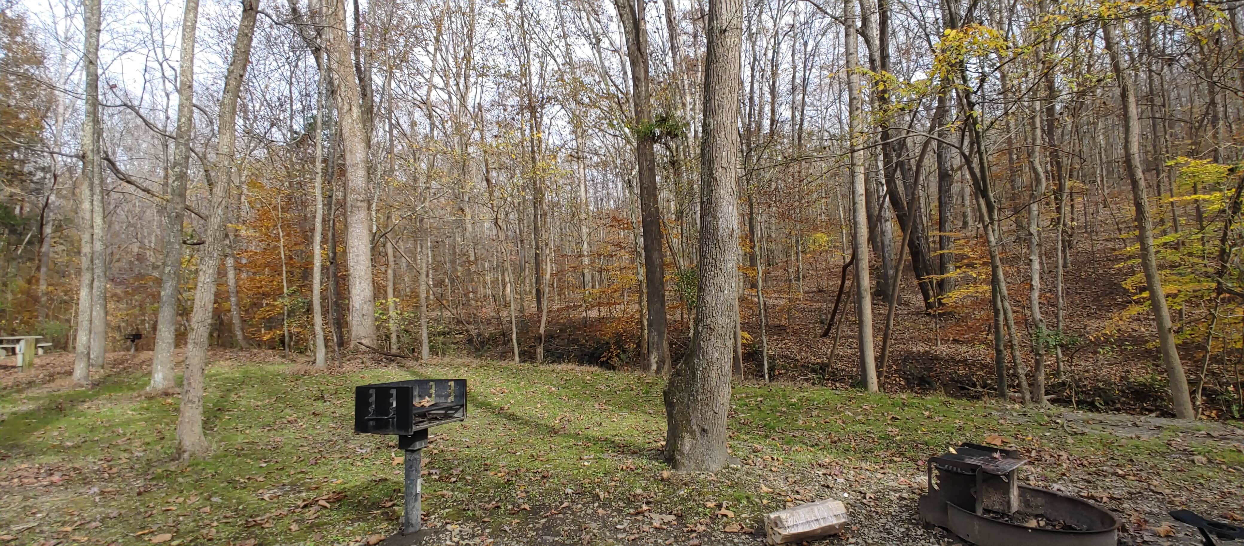Camper-submitted photo at Lakefront Campground — Nathan Bedford Forrest State Park near Waverly, TN