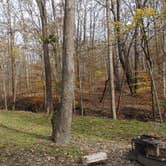 Review photo of Lakefront Campground — Nathan Bedford Forrest State Park by The Wandering B., November 21, 2021