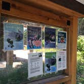 Review photo of Bear Head Lake State Park Campground by Janet R., July 7, 2018