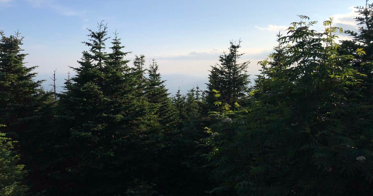 Cabot Cabin