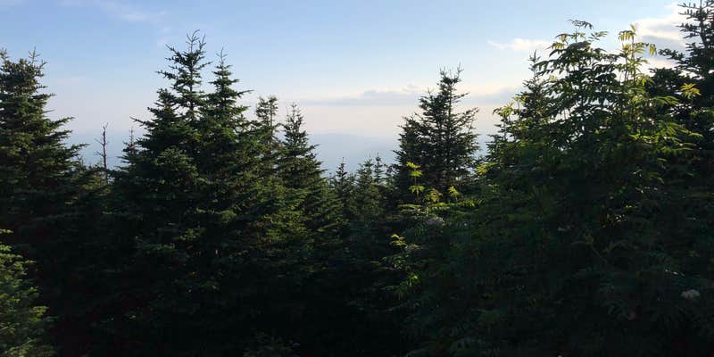 Camper submitted image from Cabot Cabin