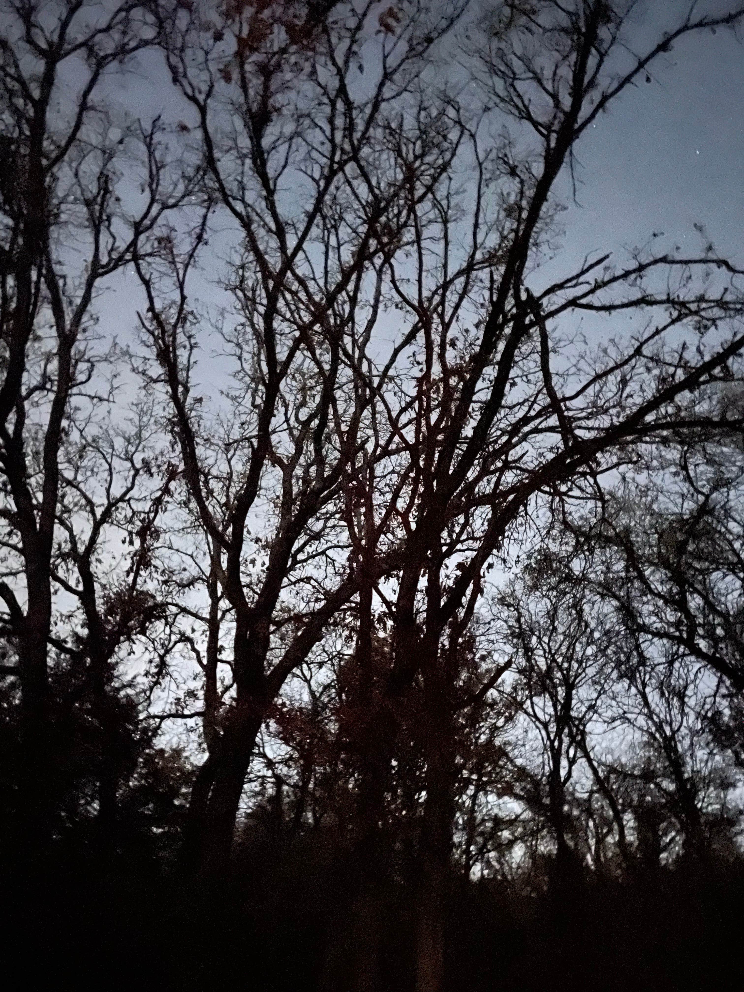 Camper-submitted photo at Arcadia Lake in Oklahoma