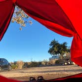 Review photo of Las Vegas Bay Campground — Lake Mead National Recreation Area by Daphne W., November 21, 2021