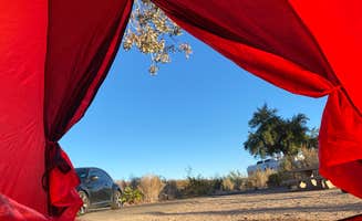 Daphne W.'s photo at Las Vegas Bay Campground — Lake Mead National Recreation Area near North Las Vegas, NV
