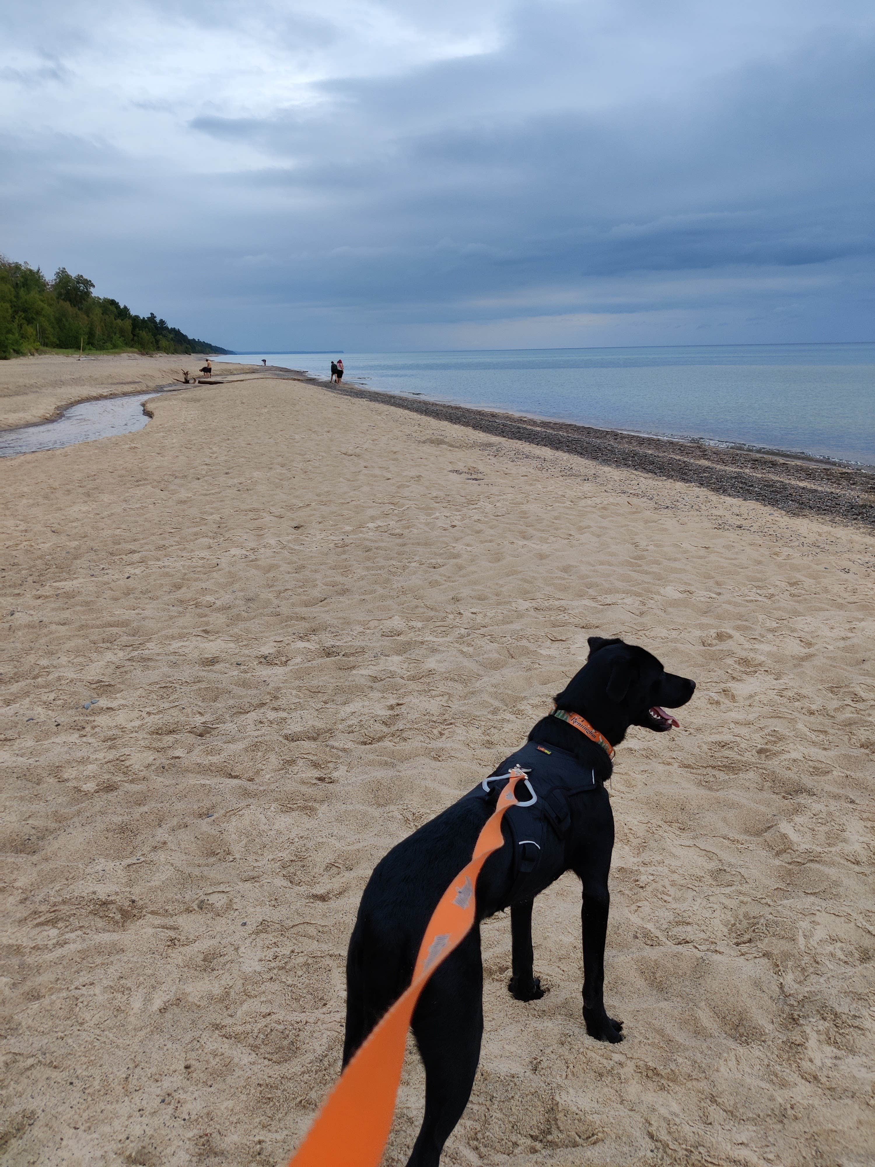 Camper-submitted photo at Muskallonge Lake State Park Campground near Newberry, MI