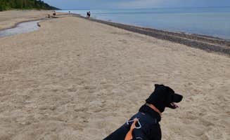 Christopher V.'s photo of camping with pets at Muskallonge Lake State Park Campground near Grand Marais, MI