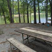 Review photo of Crosswinds Campground — Jordan Lake State Recreation Area by Charli R., November 21, 2021