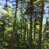 Review photo of Bear Head Lake State Park Campground by Janet R., July 7, 2018
