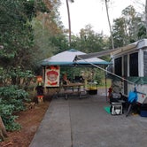 Review photo of Disney’s Fort Wilderness Resort & Campground by JEFFREY W., November 21, 2021
