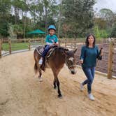 Review photo of Disney’s Fort Wilderness Resort & Campground by JEFFREY W., November 21, 2021