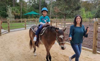 JEFFREY W.'s photo of camping with a horse at Disney’s Fort Wilderness Resort & Campground near Lacoochee, FL